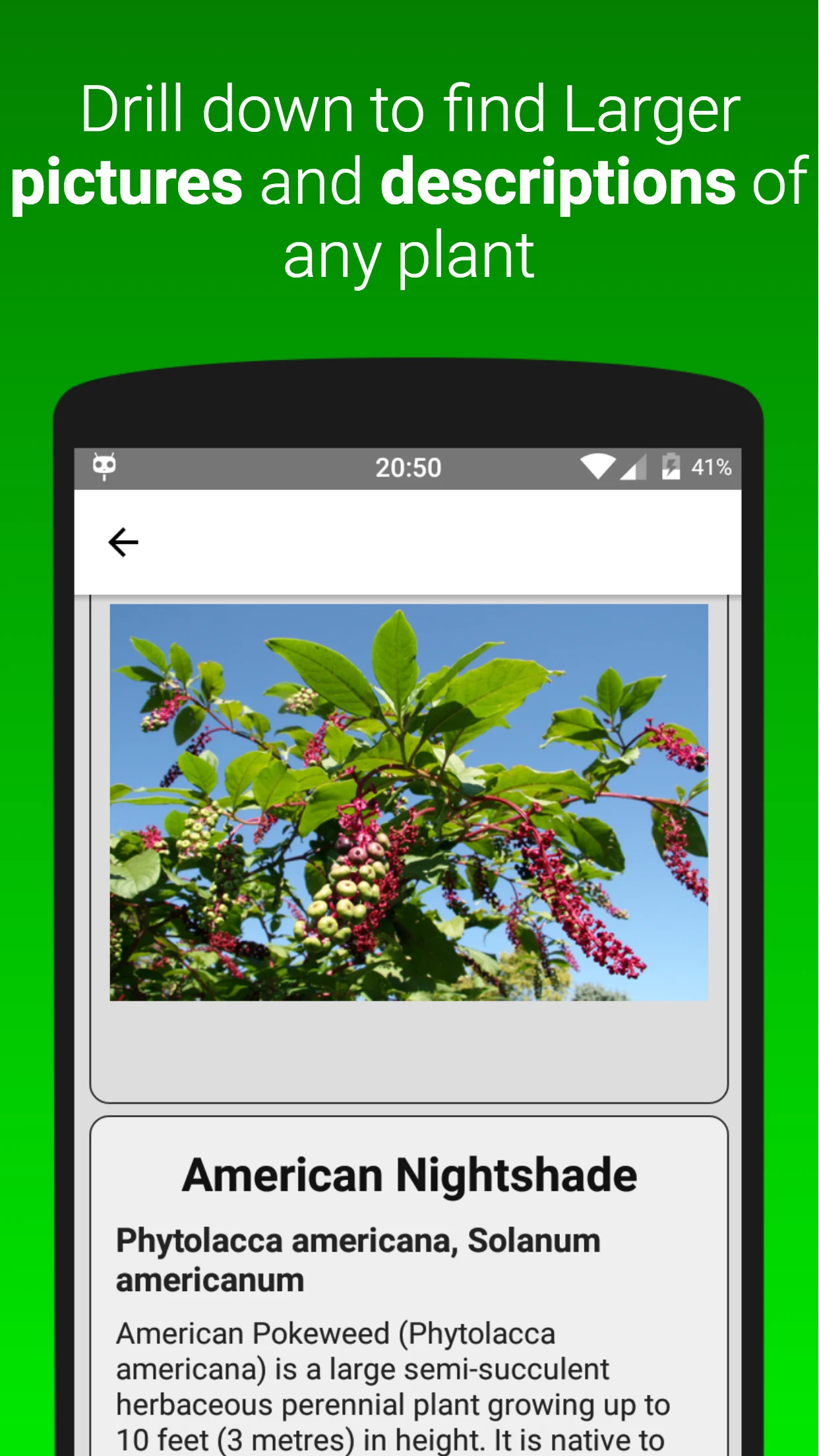 Plants Dictionary screenshot